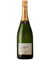 Champagne Castelnau Blanc de Blancs 2008