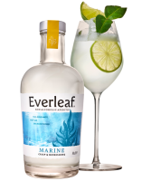 Everleaf Marine non-alcoholic spirit alternative bottle image.