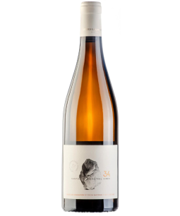 Artemis Karamolegos 34