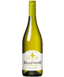 Bellevigne SB Colombard IGP Gascogne