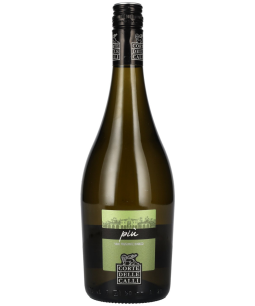 Corte delle Calli Più Frizzante