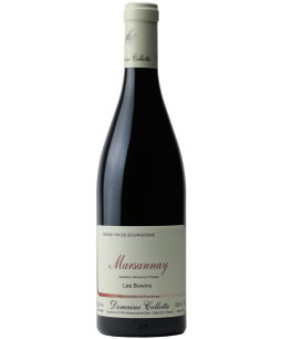 Domaine Collotte Marsannay Les Boivins