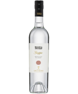 Grappa Tignanello Antinori