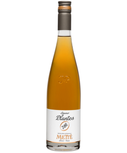 Metté Liqueur Plantes