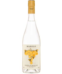 Marolo Grappa di Moscato