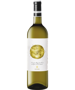 Ochoa Calendas White