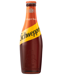 Schweppes Ginger Beer (20cl x 24)