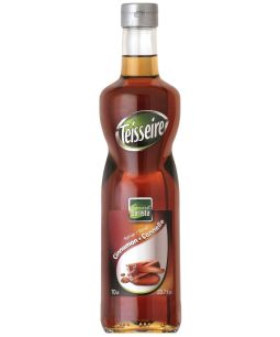 Mathieu Teisseire Cannelle Syrup
