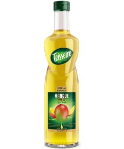 Mathieu Teisseire Mangue Syrup