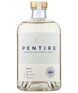 Pentire Adrift